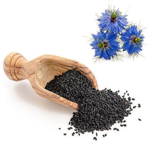 Benefits of Black Seed Oil for Scar Prevention and Wound Healing